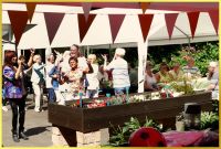 Sommerparty im Freien