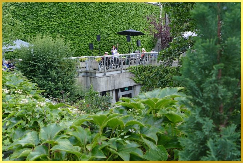 Schlagerpiratin singt im Gr�nen.