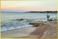 Schatzi blickt auf's Meer hinaus.